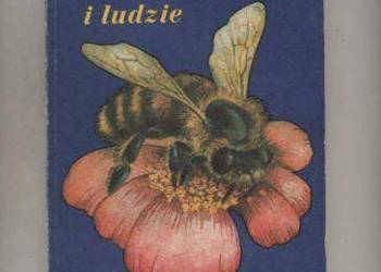 Pszczoły i ludzie - Gumowska