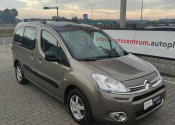 Citroen Berlingo II (2008-2018)
