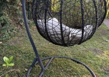 Fotel ogrodowy kokon