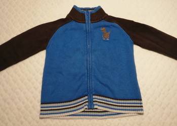 Bluza rozpinana, Okay, 110, Dinozaur, Dino (Odzież)