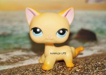 LPS Littlest Pet Shop shorthair #339 Brooklyn oryginalny pop oryginał