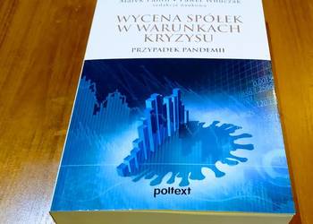 Wycena spółek w warunkach kryzysu przypadek pandemii Panfil Wnuczak