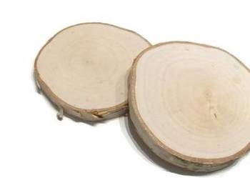 Plastry drewniane szlifowane Brzoza 12-14cm gr12mm