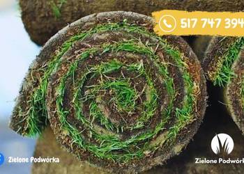Trawnik w jeden dzień. Trawa w rolce. Trawnik rolowany. Dostawa