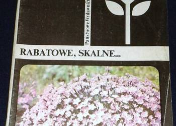 Goździki w ogródku. Rabatowe, skalne - Kazimierz Mynett