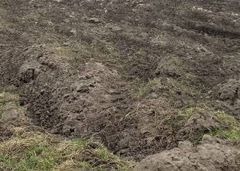 Działka w Piasku ok. 3000m2