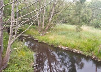 Działka z linią brzegową.Działka budowlana.