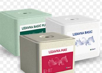 Lizawka solna - 3 warianty (basic, basic plus, max)
