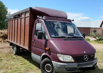Mercedes sprinter 2.2 cdi do przewozu zwierząt