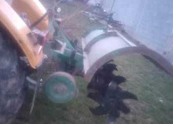 Gryzarka glebogryzarka