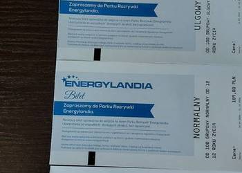 Sprzedam bilet do Energylandi