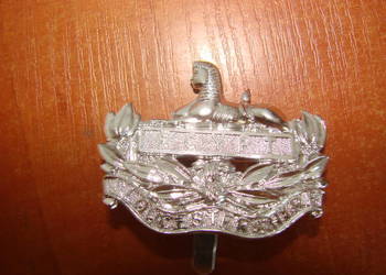 Pułk Gloucestershire odznaka na czapkę