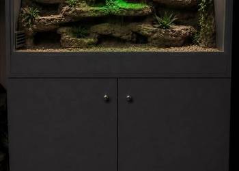Terrarium dla pytona regiusa boa cesarskiego