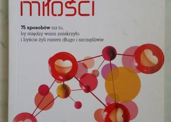 Chemia miłości - Leil Lowndes (REBIS 2014)