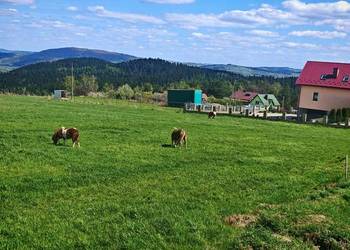 Działka budowlana w Trzetrzewinie