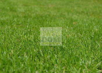 Grunt 828m2 Radzymin