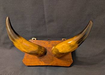 Vintage Wieszak Ścienny – Polerowane Rogi – Design PRL/Lata 80