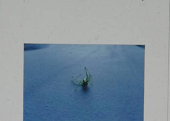 Czytanie Nietzschego. (Seria: Horyzonty Nowoczesności 105)