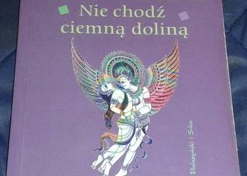 Nie chodź ciemną doliną - Iwona Menzel