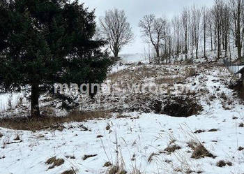 Urocza działka w Grzmiącej z wydanymi warunkami