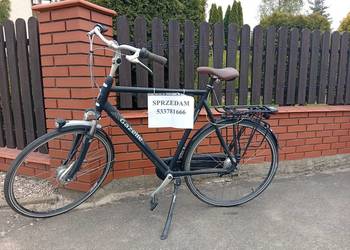 Rower holenderski Gazella