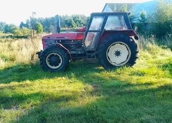 Zetor