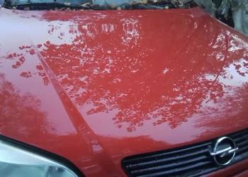 Maska przód przednia Opel Astra G  Y547  inne