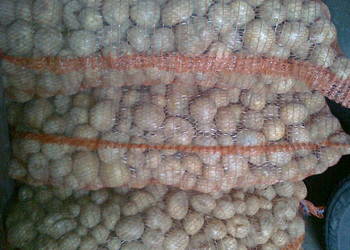 Ziemniaki  Belarossa kaliber 3-5 cm