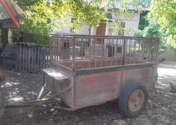 Przyczepka transportowa do zwierząt