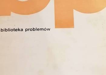 Egipt przed piramidami - Krzyżaniak