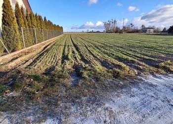 Działka budowlana GIEWARTÓW gm. Ostrowite, MPZP, media