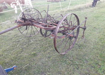 Przetrząsarka do siana konna