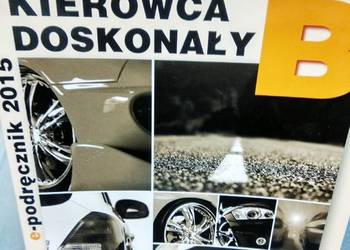 Kierowca doskonały