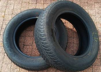 Opony zimowe Vredestein 205/60 R16
