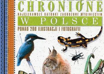Zwierzęta chronione w Polsce -