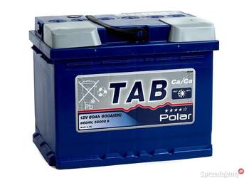 Akumulator TAB Polar 60Ah/600A 735*259*683 Gniezno os.Jagiellońskie 62