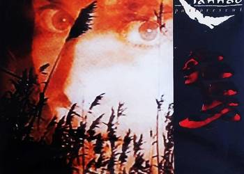 CD Nowa-Polecam Wspanialy Album CD Zespołu CLANNAD Past Present N