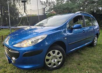 Peugeot 307 Lift_1.4 Benzyna + LPG_Doinwestowany_Nowe Opony_Bezwypadkowy_