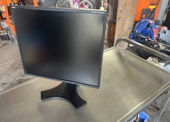 Monitor Nec 19