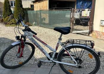Rower damski Pegasus