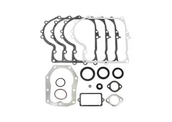 Zestaw Uszczelek Briggs&Stratton 10-13KM 494241
