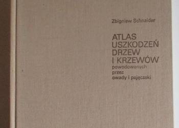 Atlas uszkodzeń drzew i krzewów / drzewa / szkodniki