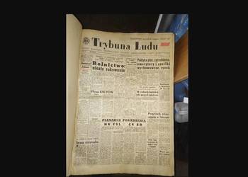 Rocznik Gazety Trybuna Ludu cały rok 1981