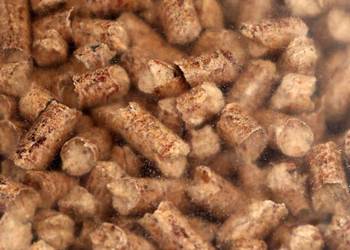 żwirek pellet dla kota z łuską gryki żwirek pellet dla kota z łuską gryki