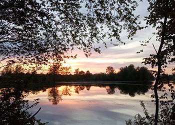 Ogłoszenie działka  Ostrowiec