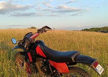 Honda MTX 80 na kat. AM Szczecin