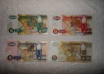 Dziewięć nowych polimerowych banknotów.