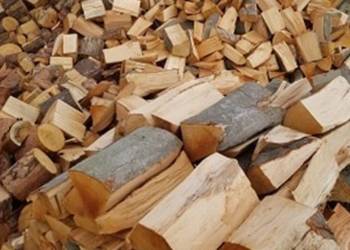 Drewno Kominkowe I Gałęziówka Buk Dąb Grab Brzoza Sosna Jesion SEZONOWANE