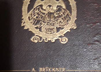 BRUCKNER -Dzieje języka polskiego -Lwów1913, oprawa, ilustr.