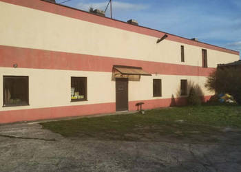 Lokal 250m2 Zduńska Wola